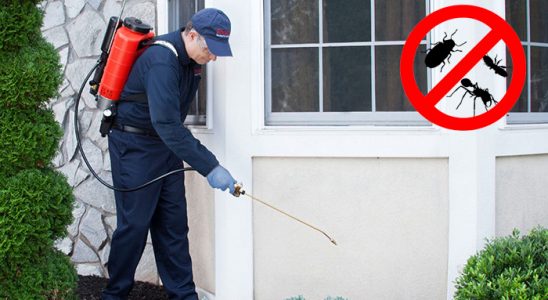 İpsala Böcek ve Haşere İlaçlama böcek ilaçlama ve haşere kontrolü — ilaclama-tr.com